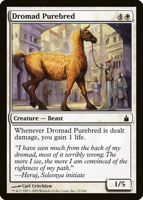 Dromad Purebred - Ravnica: City of Guilds