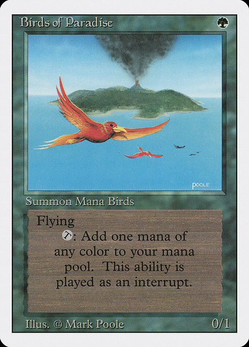 Birds of Paradise - Revised Edition