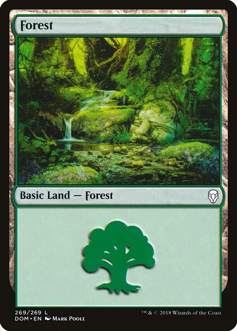 Forest - Dominaria