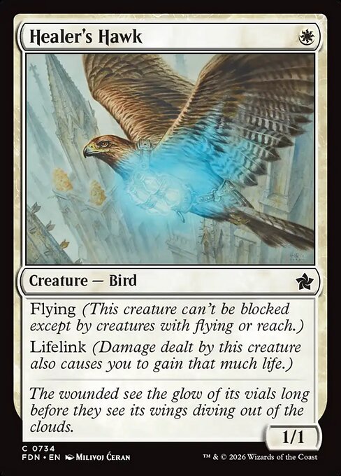 Healer's Hawk - Foundations