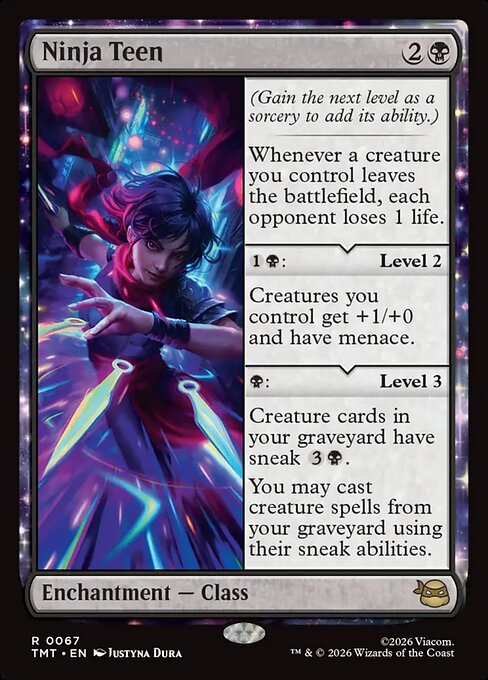 Ninja Teen - Teenage Mutant Ninja Turtles