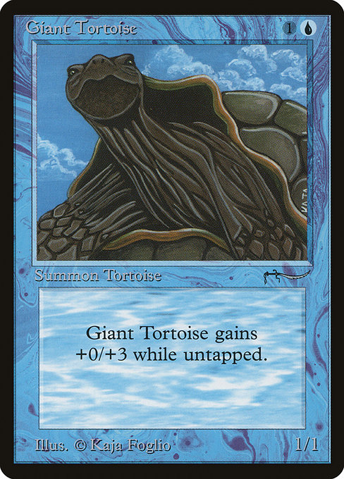 Giant Tortoise - Arabian Nights