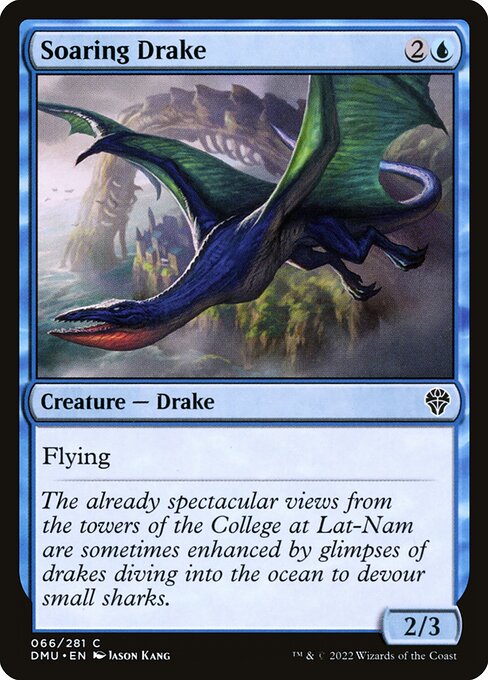 Soaring Drake - Dominaria United