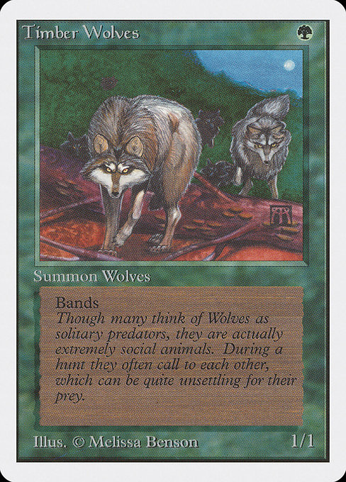 Timber Wolves - Unlimited Edition