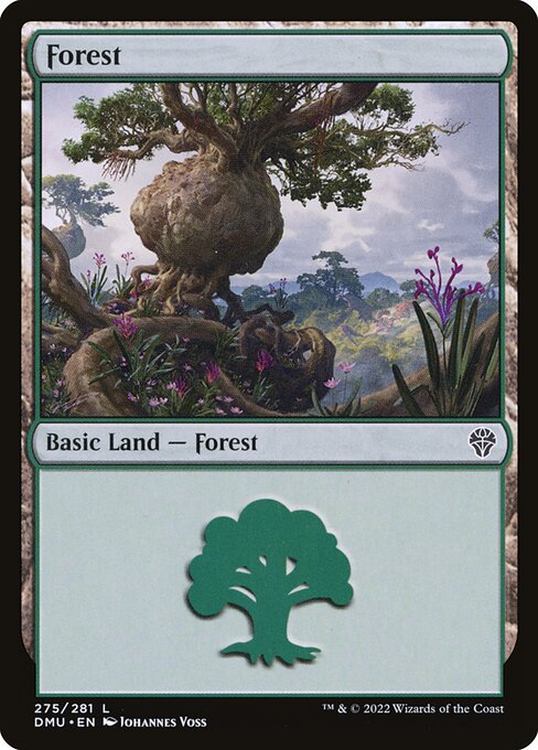 Forest - Dominaria United