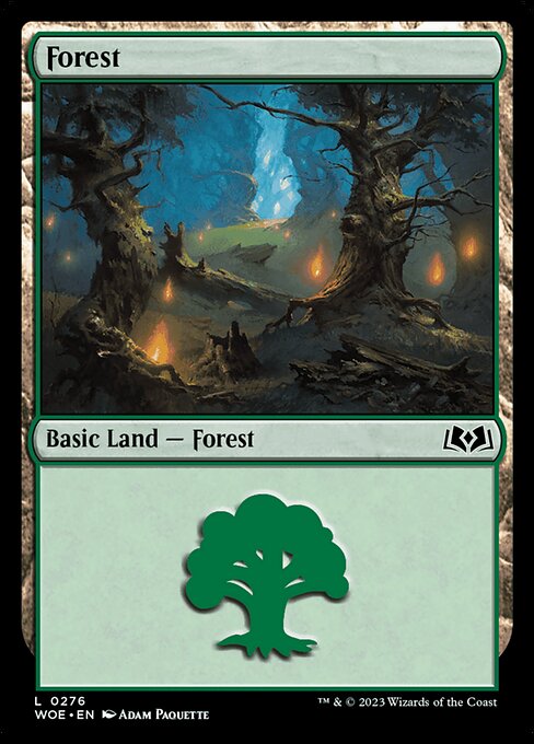 Forest - Wilds of Eldraine