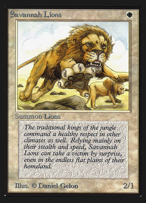 Savannah Lions - Intl. Collectors' Edition