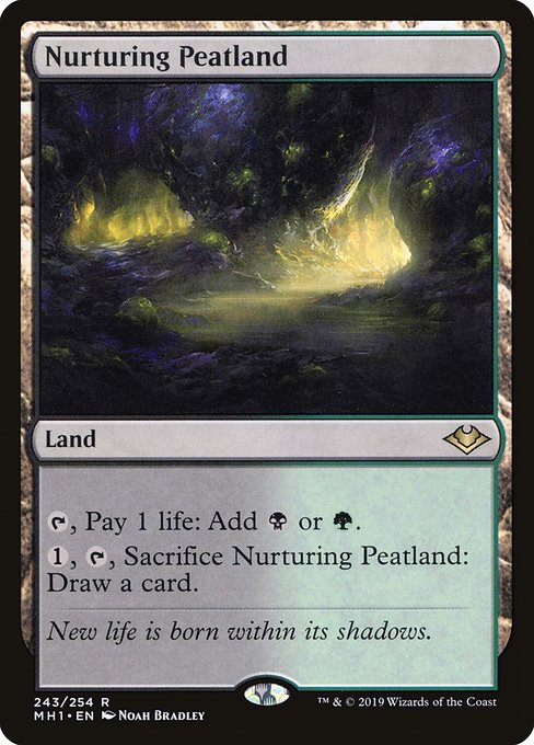 Nurturing Peatland - Modern Horizons