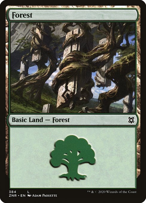 Forest - Zendikar Rising
