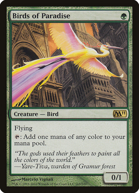 Birds of Paradise - Magic 2011