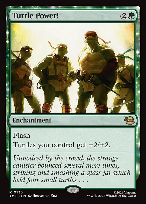 Turtle Power! - Teenage Mutant Ninja Turtles