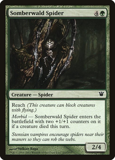 Somberwald Spider - Innistrad