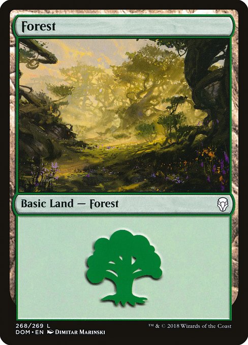 Forest - Dominaria