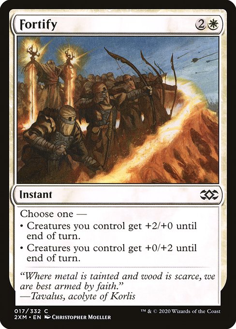 Fortify - Double Masters