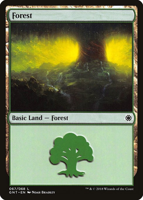 Forest - Game Night