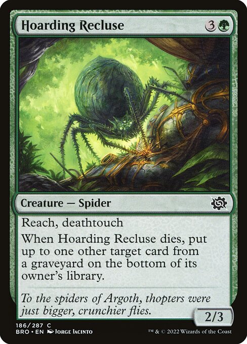 Hoarding Recluse - The Brothers' War