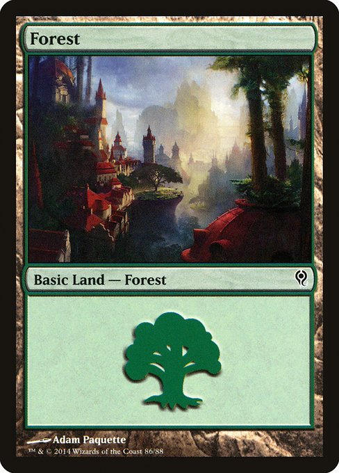 Forest - Duel Decks: Jace vs. Vraska