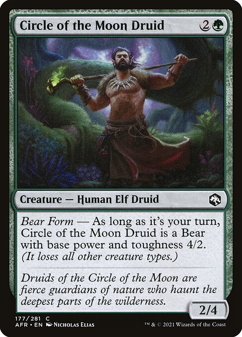 Circle of the Moon Druid - Adventures in the Forgotten Realms