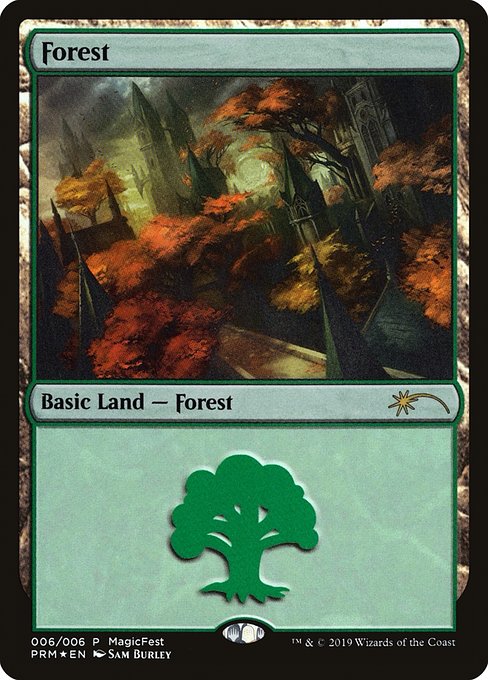 Forest - MagicFest 2019