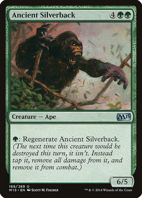 Ancient Silverback - Magic 2015