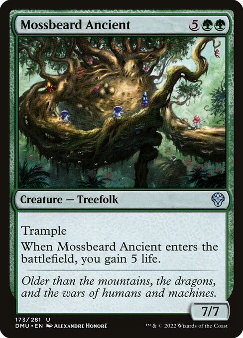 Mossbeard Ancient - Dominaria United