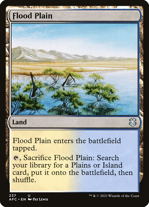 Flood Plain - Forgotten Realms Commander