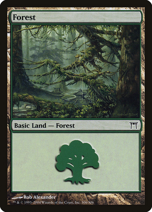 Forest - Champions of Kamigawa