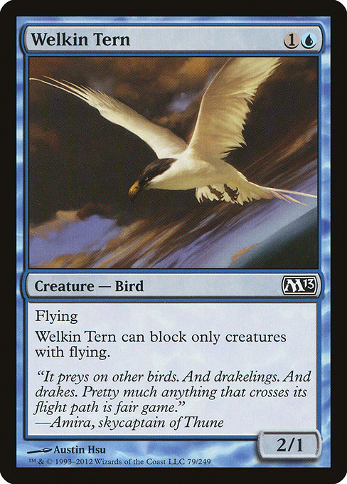 Welkin Tern - Magic 2013