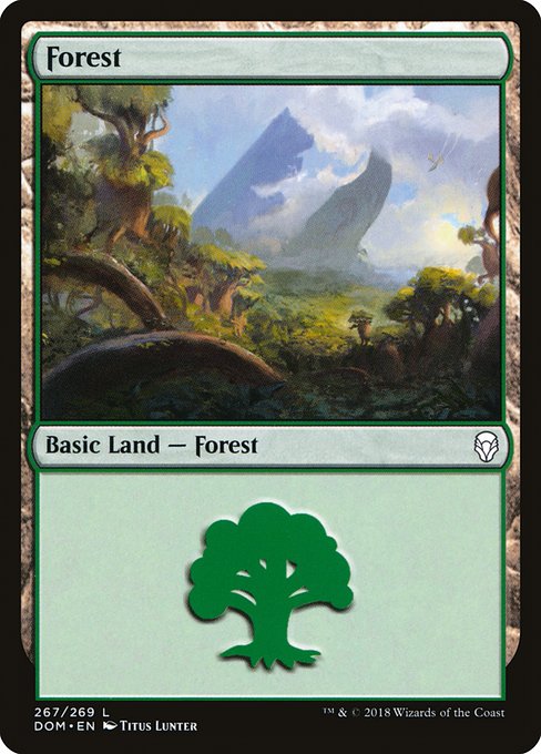 Forest - Dominaria
