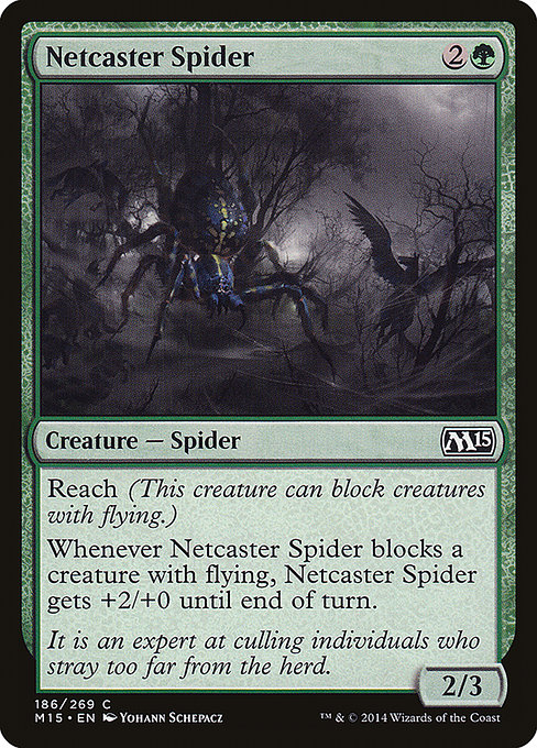 Netcaster Spider - Magic 2015