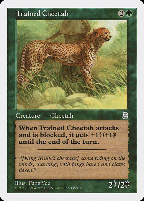 Trained Cheetah - Portal Three Kingdoms