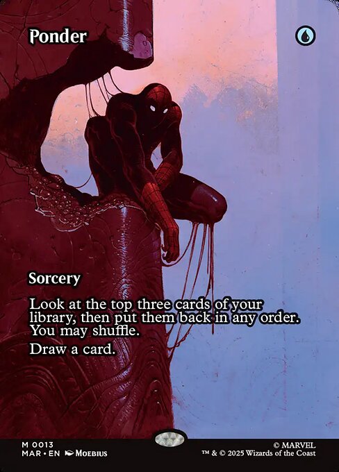 Ponder - Marvel Universe - Borderless