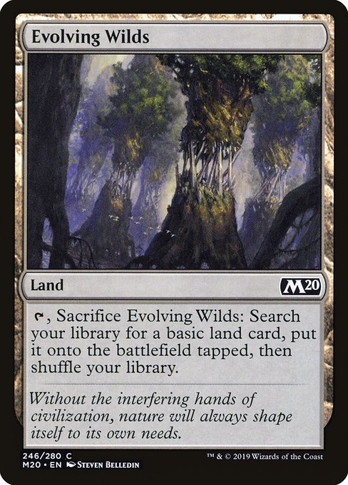 Evolving Wilds - Core Set 2020