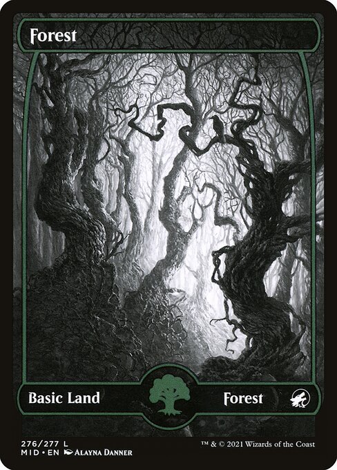 Forest - Innistrad: Midnight Hunt