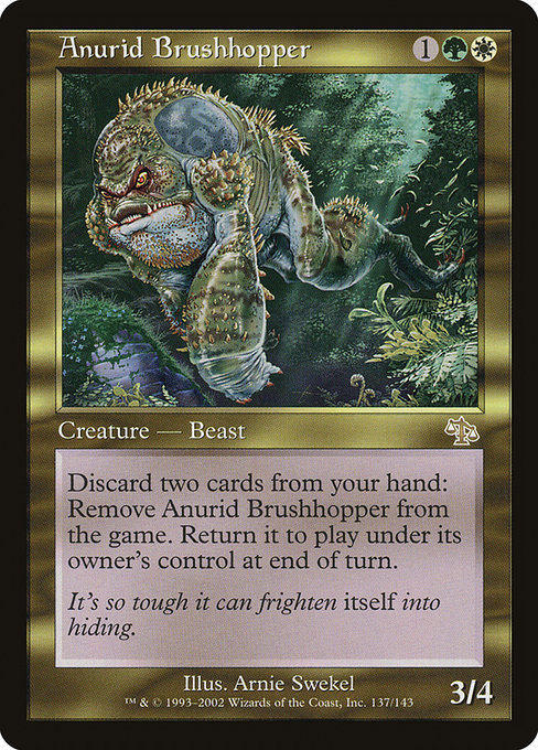 Anurid Brushhopper - Judgment