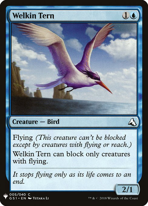 Welkin Tern - The List