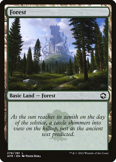 Forest - Adventures in the Forgotten Realms