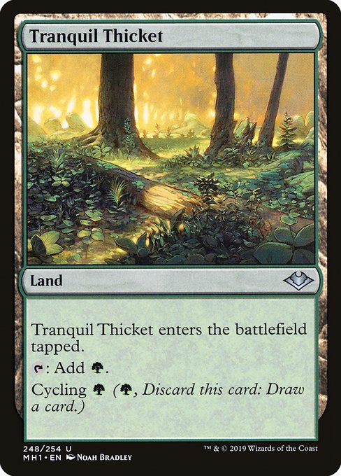 Tranquil Thicket - Modern Horizons