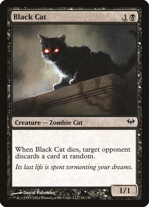 Black Cat - Dark Ascension