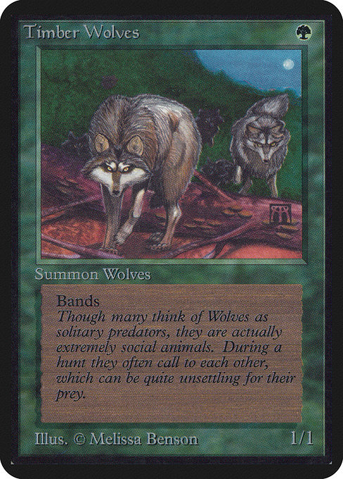 Timber Wolves - Limited Edition Alpha