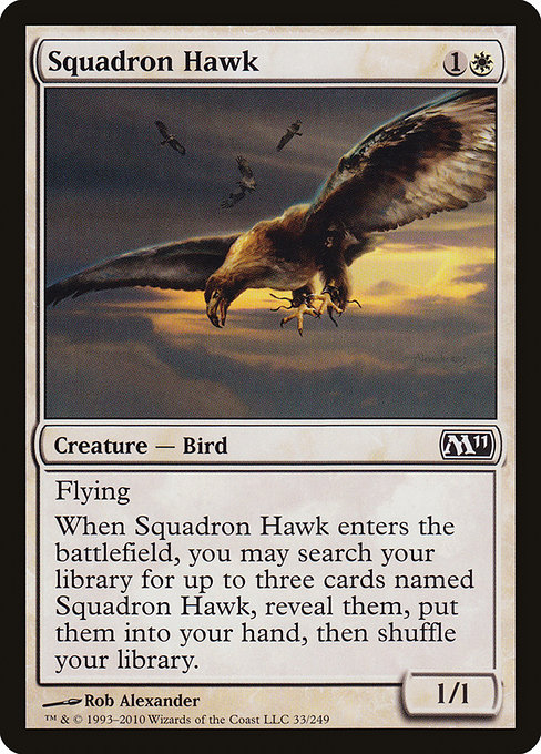 Squadron Hawk - Magic 2011