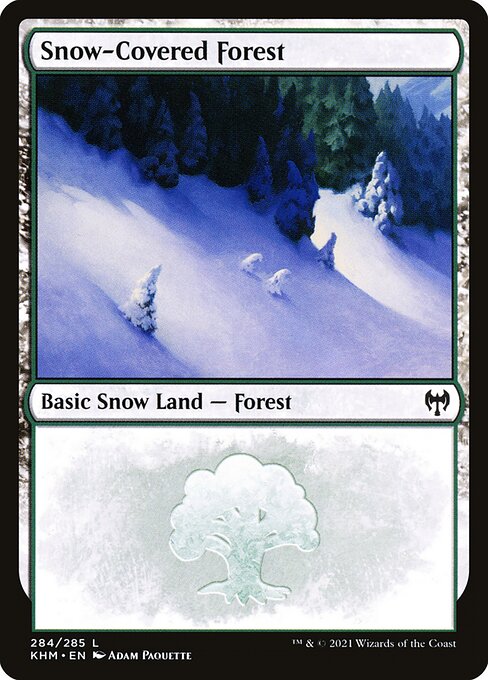 Snow-Covered Forest - Kaldheim