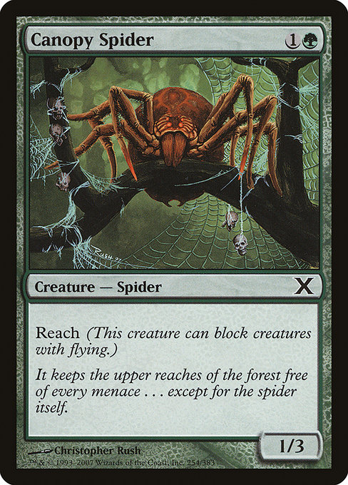 Canopy Spider - Tenth Edition