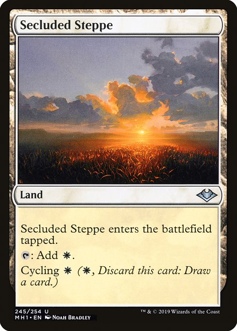 Secluded Steppe - Modern Horizons