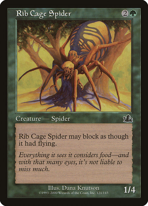 Rib Cage Spider - Prophecy