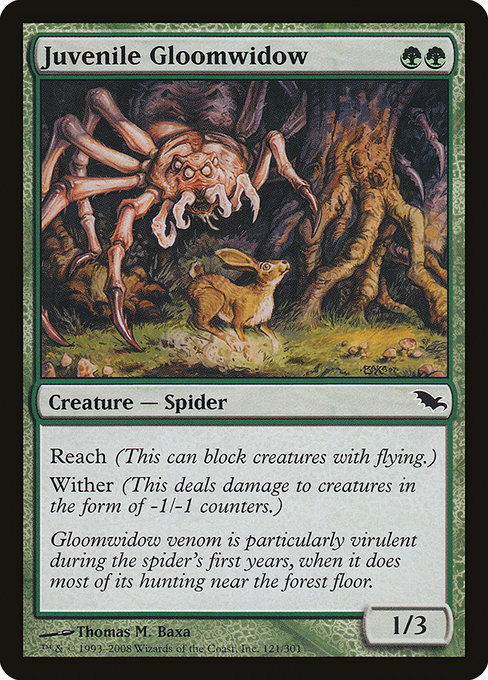 Juvenile Gloomwidow - Shadowmoor