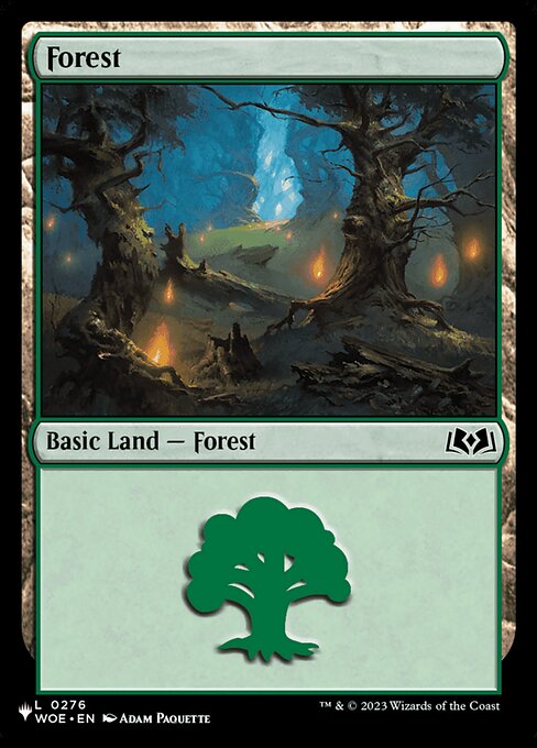 Forest - The List