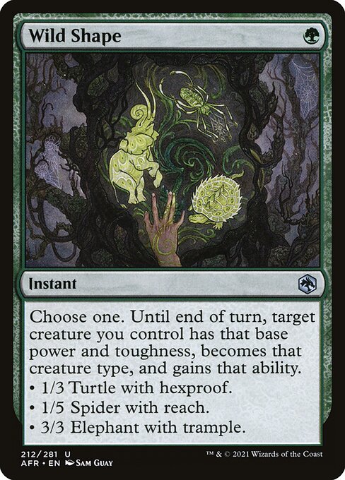 Wild Shape - Adventures in the Forgotten Realms