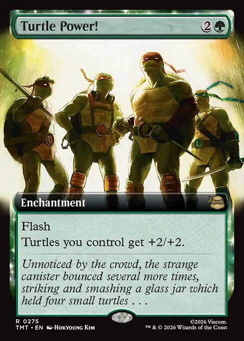 Turtle Power! - Teenage Mutant Ninja Turtles - Extended Art