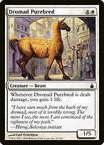 Dromad Purebred - Ravnica: City of Guilds